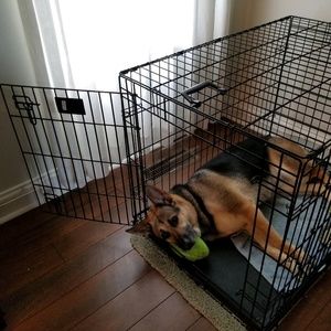 Meet your Posher, Patricia